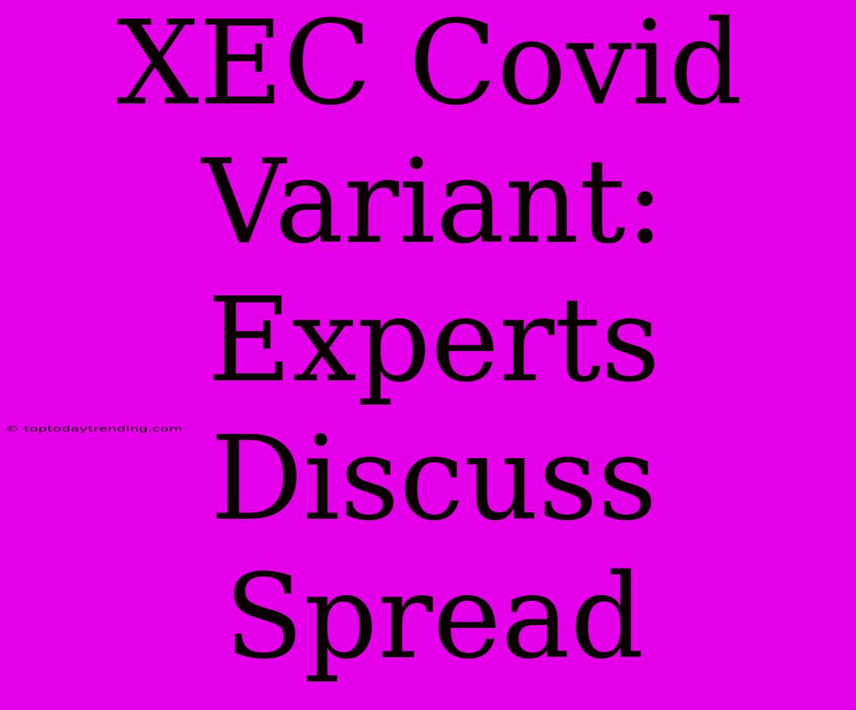 XEC Covid Variant:  Experts Discuss Spread