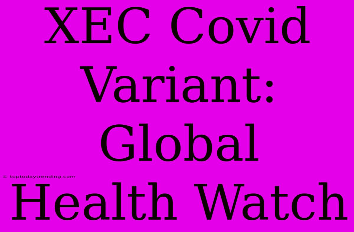 XEC Covid Variant:  Global Health Watch