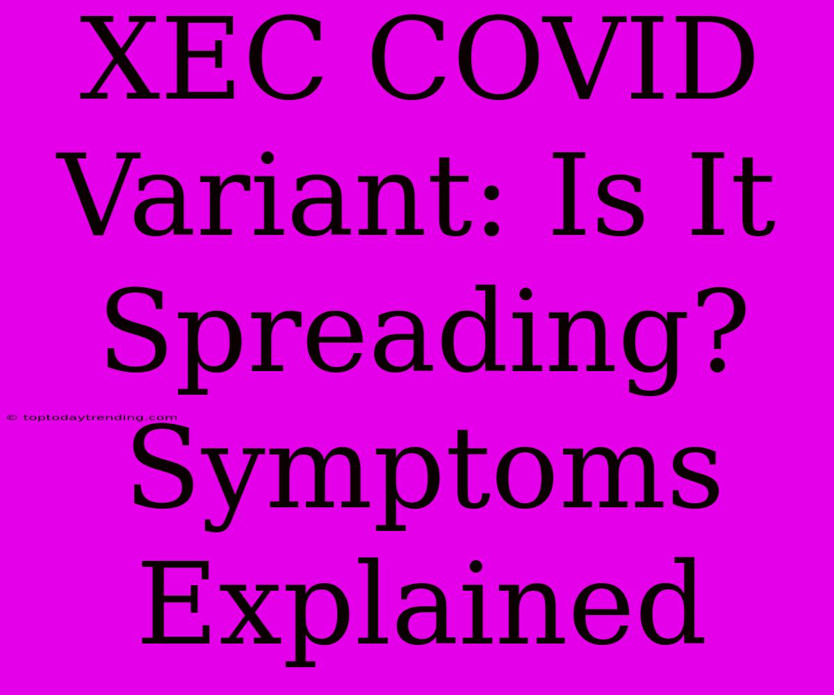 XEC COVID Variant: Is It Spreading? Symptoms Explained