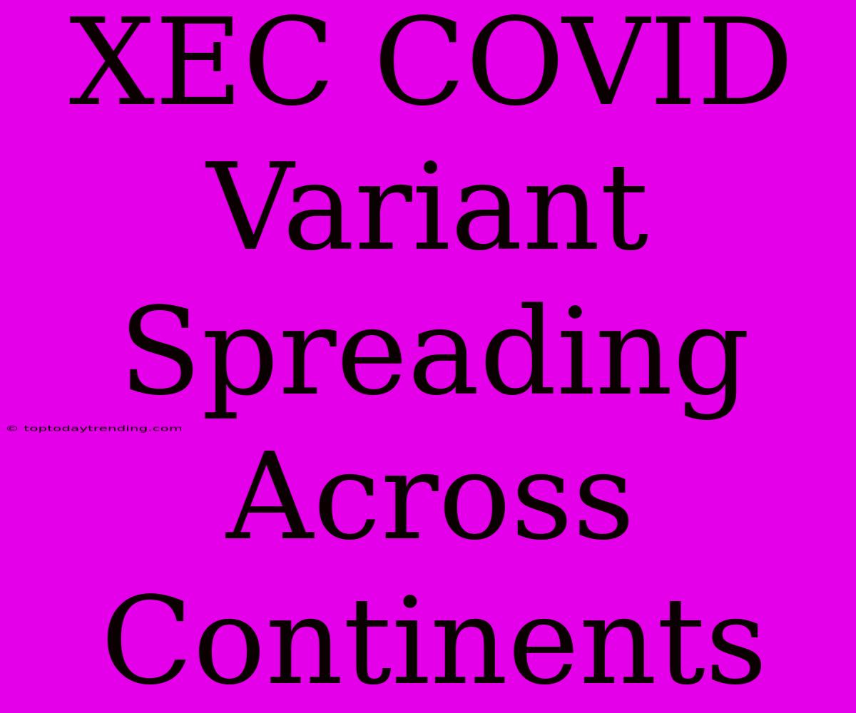 XEC COVID Variant Spreading Across Continents