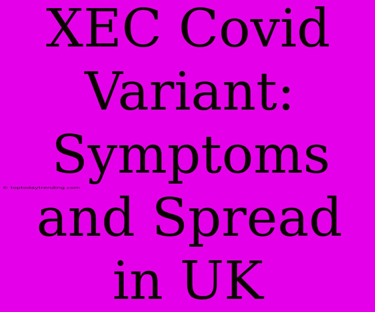 XEC Covid Variant: Symptoms And Spread In UK