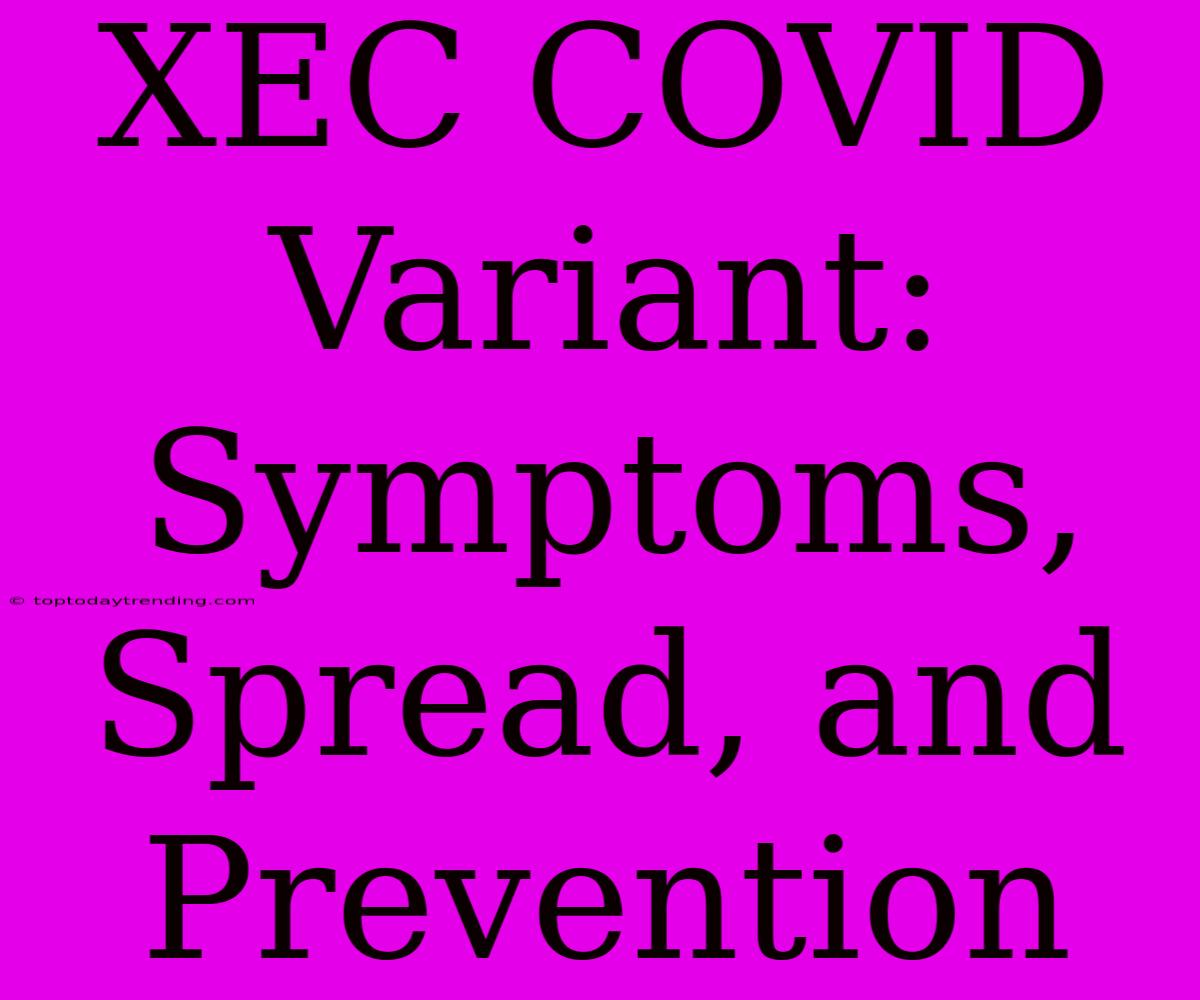 XEC COVID Variant: Symptoms, Spread, And Prevention