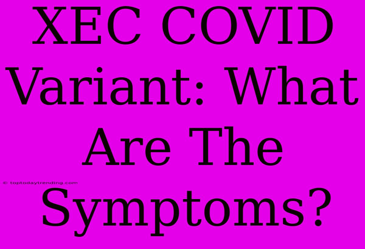 XEC COVID Variant: What Are The Symptoms?