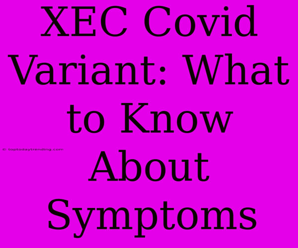 XEC Covid Variant: What To Know About Symptoms