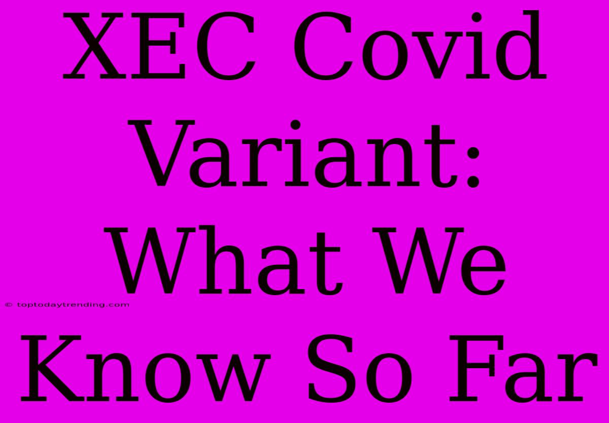 XEC Covid Variant:  What We Know So Far