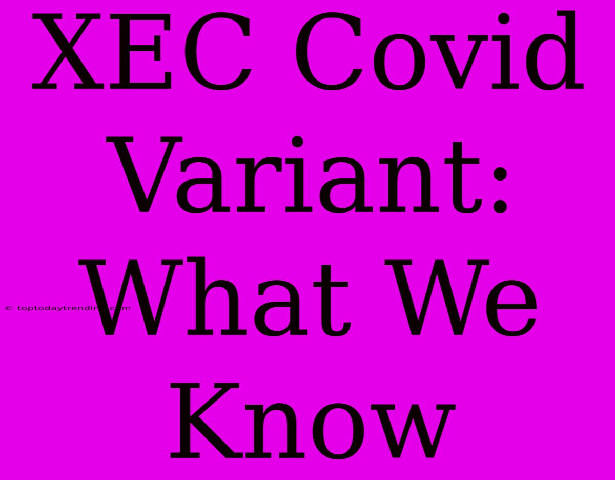 XEC Covid Variant: What We Know