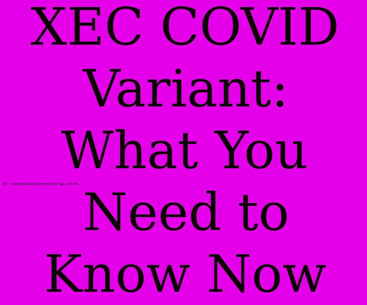 XEC COVID Variant: What You Need To Know Now