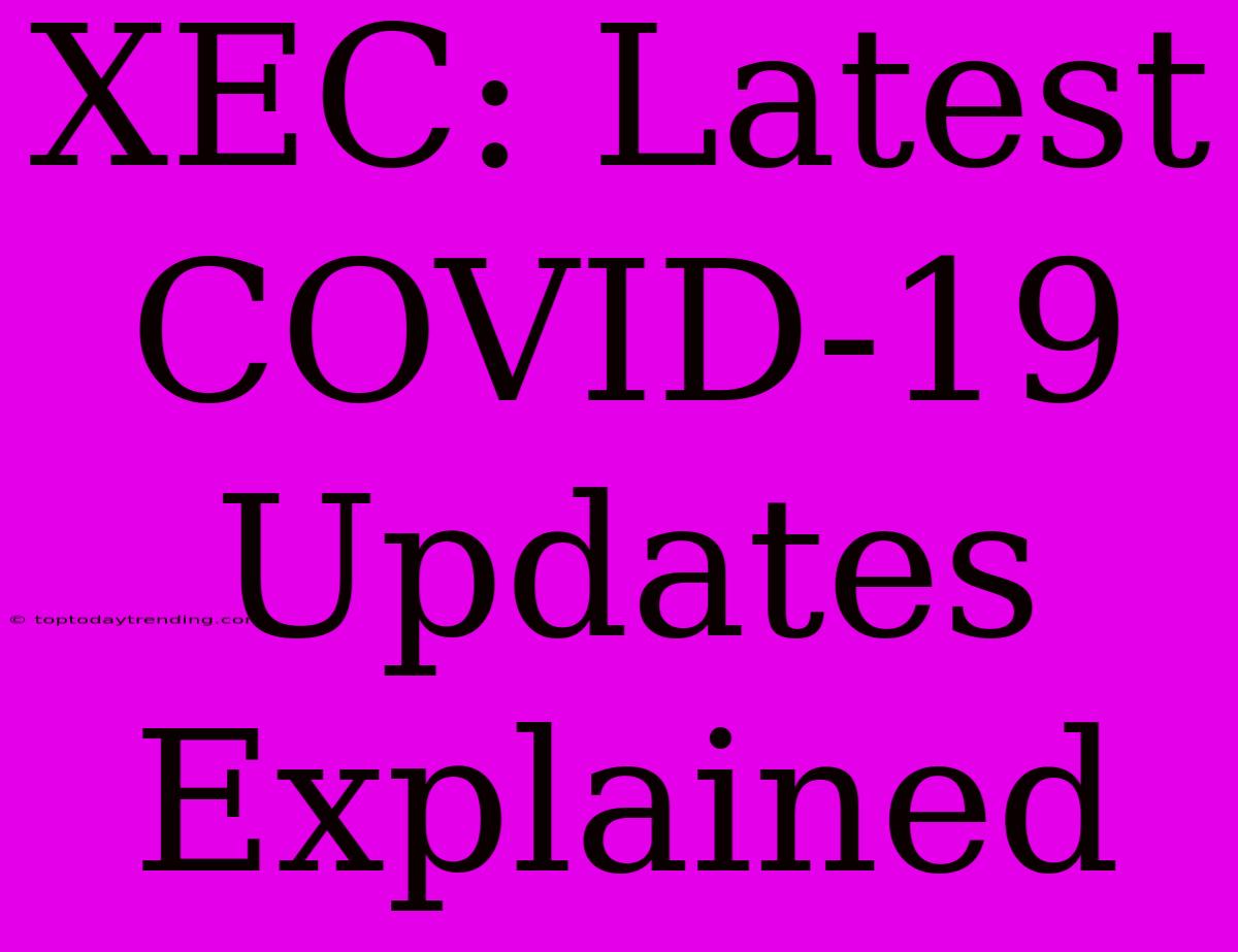 XEC: Latest COVID-19 Updates Explained