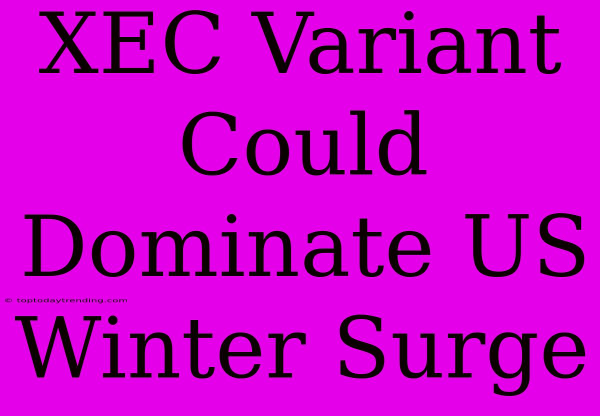 XEC Variant Could Dominate US Winter Surge