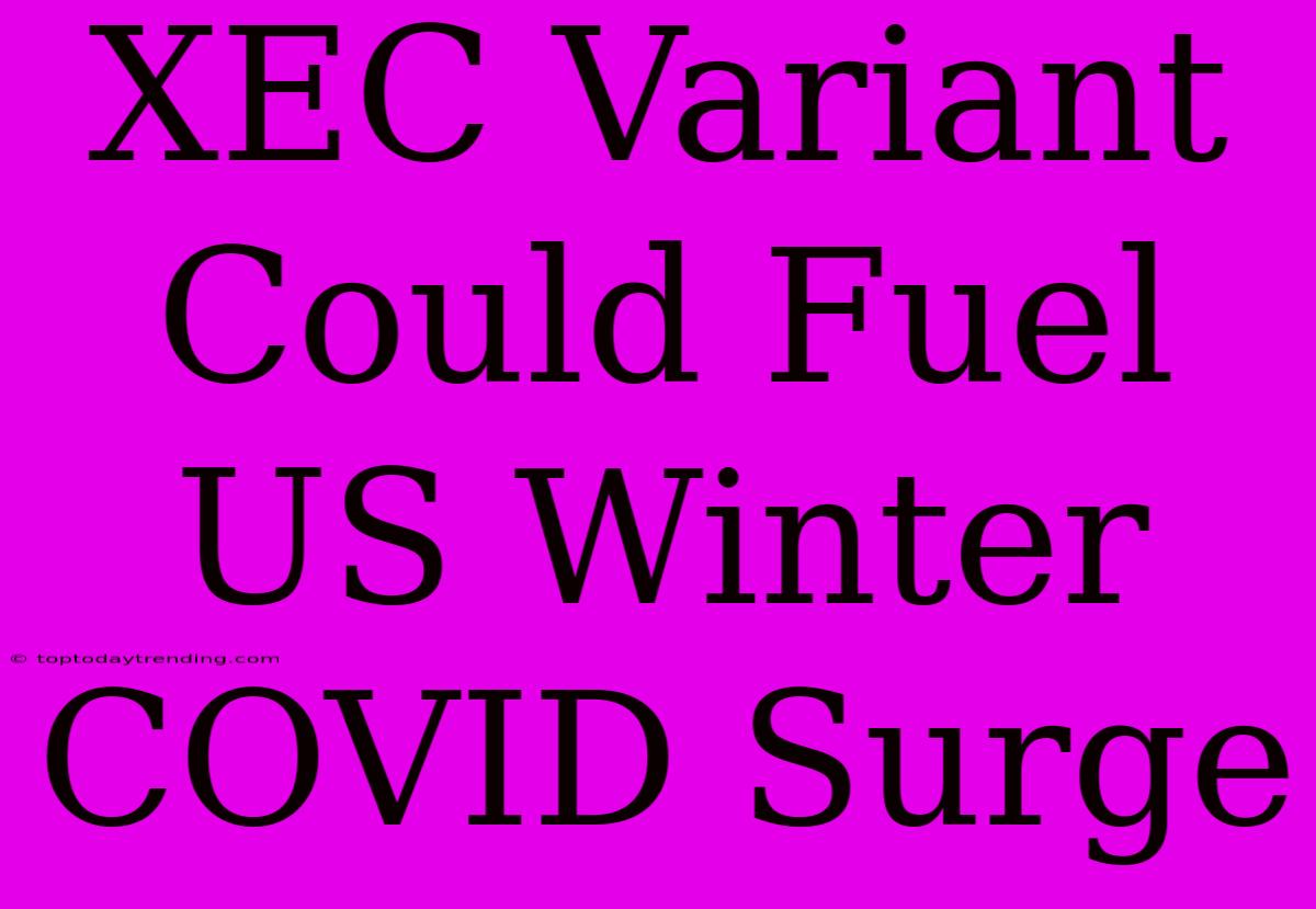 XEC Variant Could Fuel US Winter COVID Surge