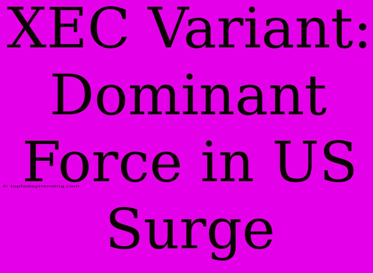 XEC Variant: Dominant Force In US Surge