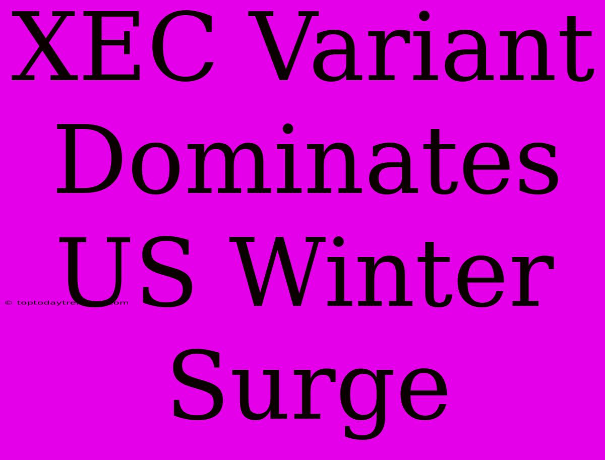 XEC Variant Dominates US Winter Surge