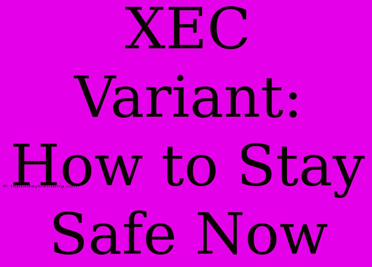 XEC Variant: How To Stay Safe Now