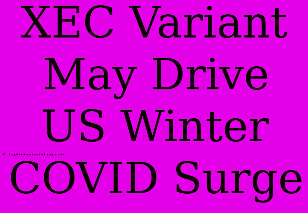 XEC Variant May Drive US Winter COVID Surge