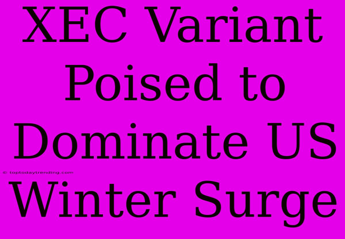 XEC Variant Poised To Dominate US Winter Surge