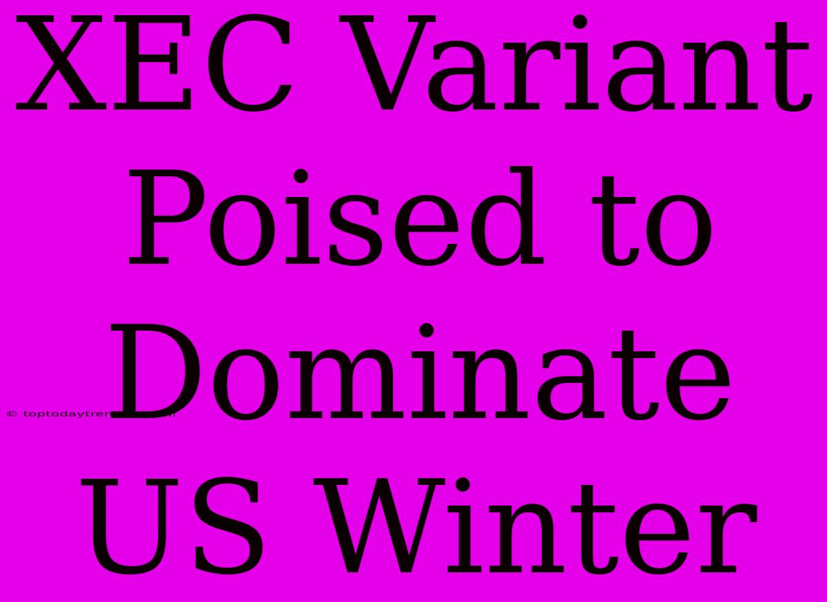 XEC Variant Poised To Dominate US Winter