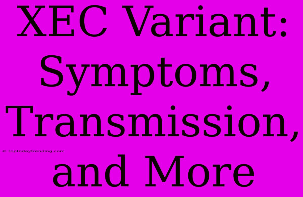 XEC Variant: Symptoms, Transmission, And More