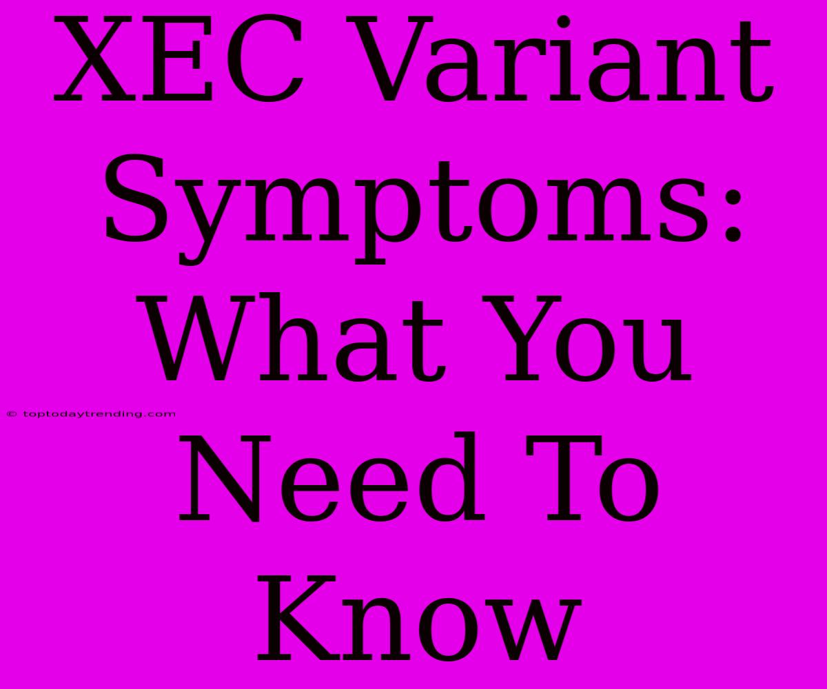 XEC Variant Symptoms: What You Need To Know