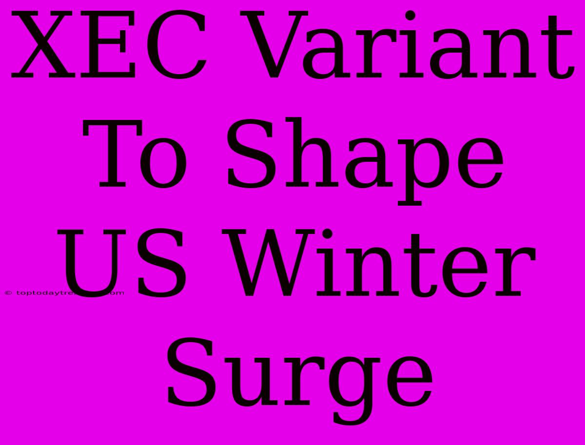 XEC Variant To Shape US Winter Surge