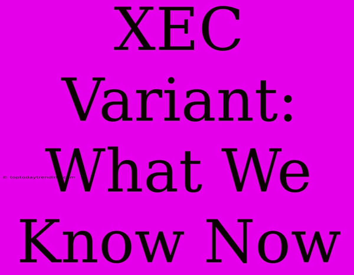 XEC Variant: What We Know Now