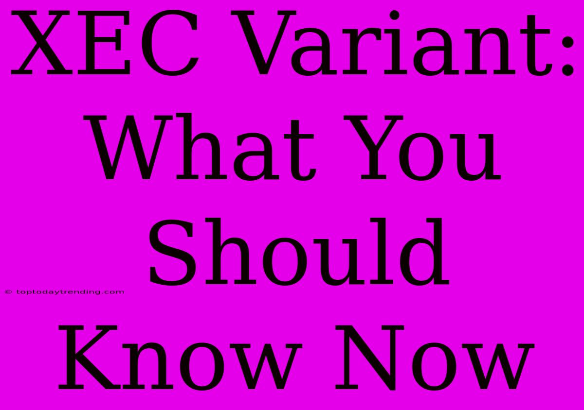 XEC Variant: What You Should Know Now