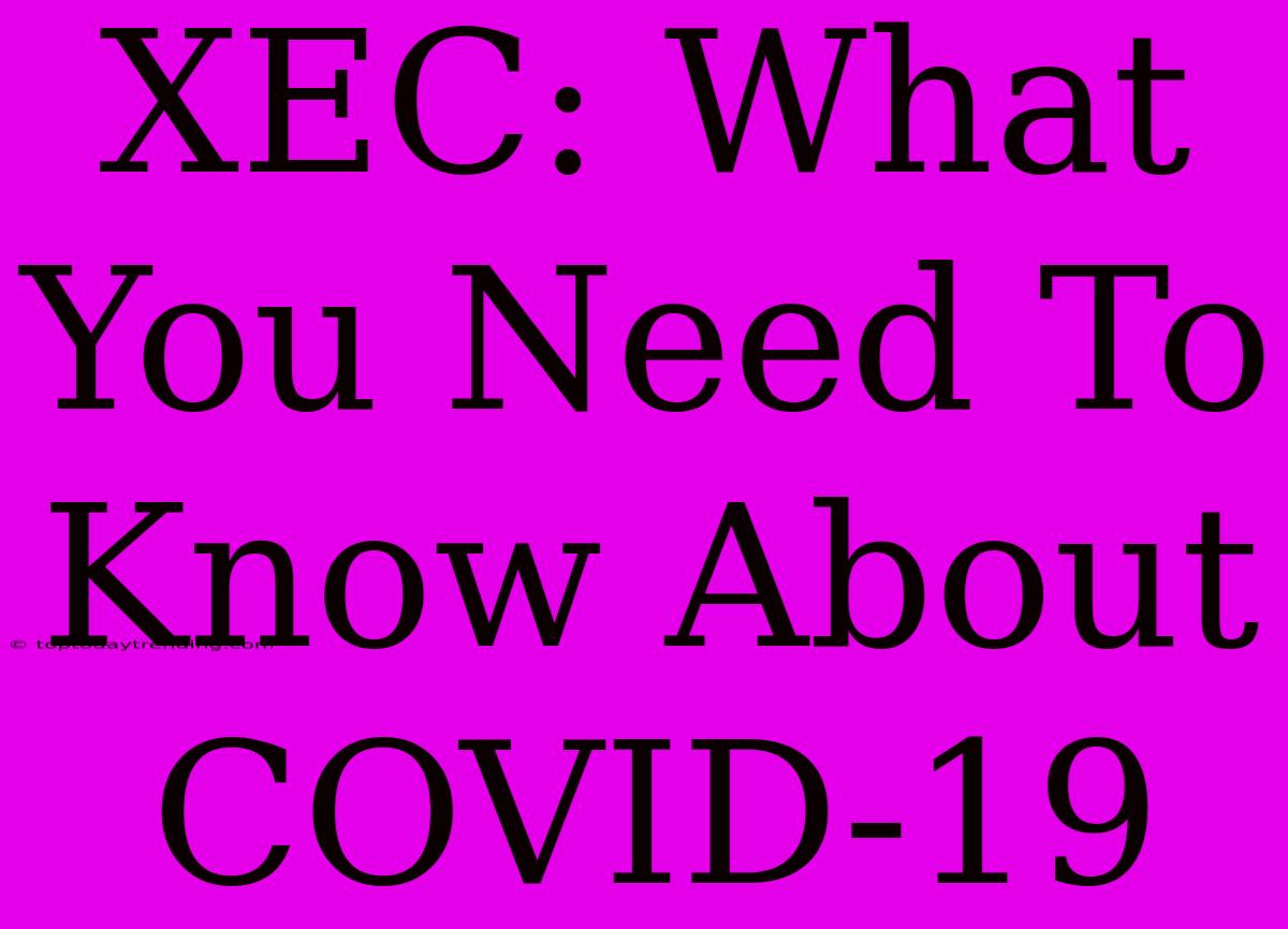 XEC: What You Need To Know About COVID-19