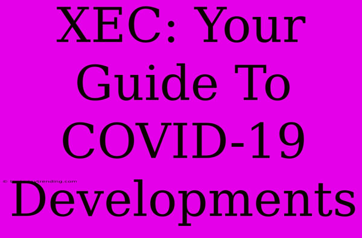 XEC: Your Guide To COVID-19 Developments