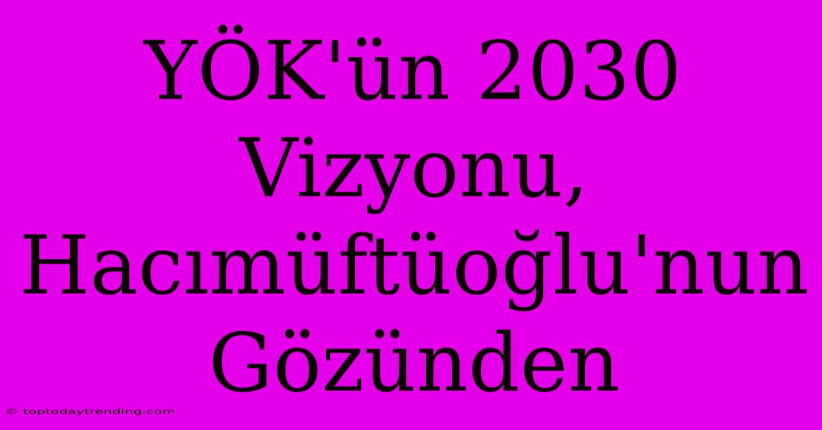 YÖK'ün 2030 Vizyonu, Hacımüftüoğlu'nun Gözünden