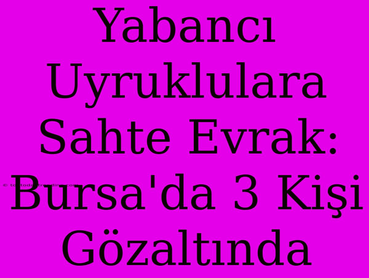 Yabancı Uyruklulara Sahte Evrak: Bursa'da 3 Kişi Gözaltında