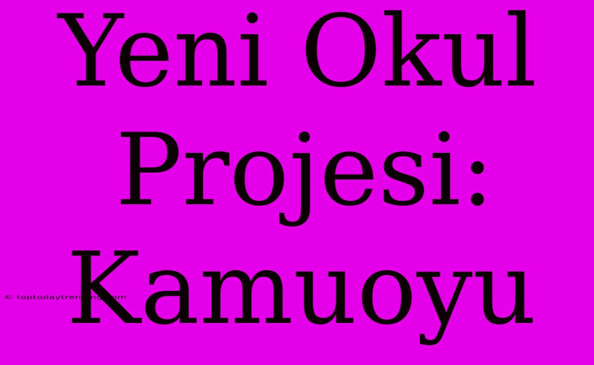 Yeni Okul Projesi: Kamuoyu