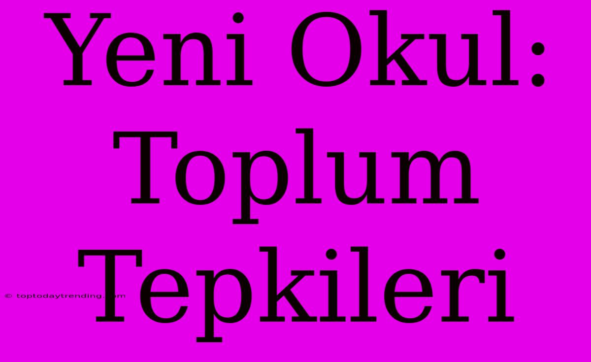 Yeni Okul: Toplum Tepkileri