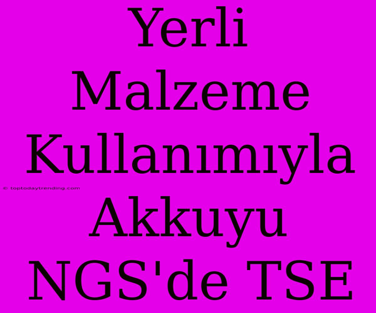 Yerli Malzeme Kullanımıyla Akkuyu NGS'de TSE