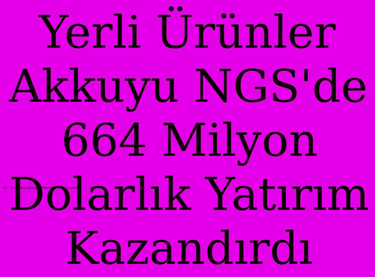 Yerli Ürünler Akkuyu NGS'de 664 Milyon Dolarlık Yatırım Kazandırdı