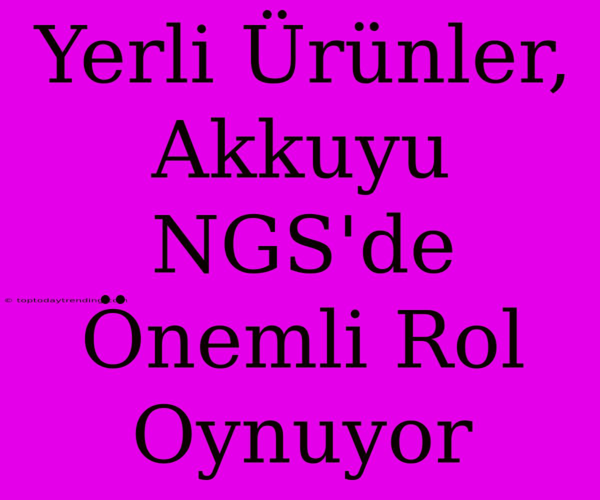 Yerli Ürünler, Akkuyu NGS'de Önemli Rol Oynuyor