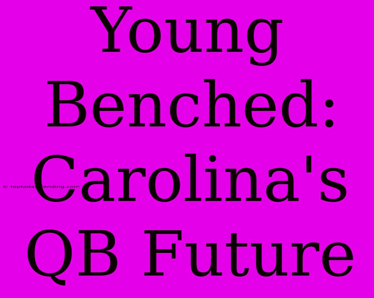 Young Benched: Carolina's QB Future