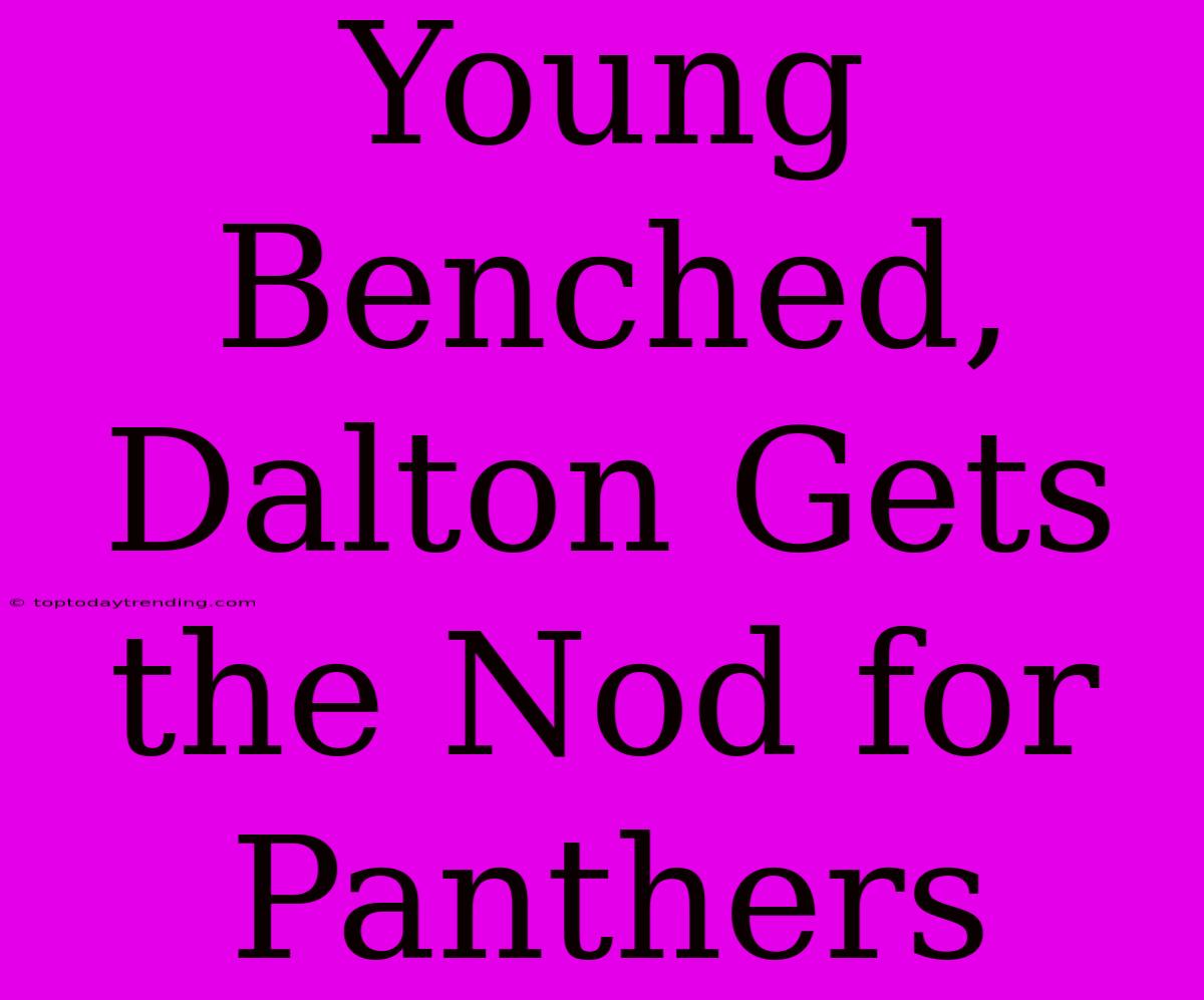 Young Benched, Dalton Gets The Nod For Panthers