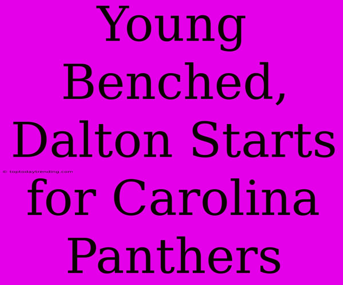 Young Benched, Dalton Starts For Carolina Panthers