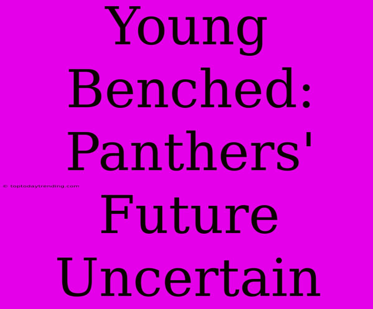 Young Benched: Panthers' Future Uncertain