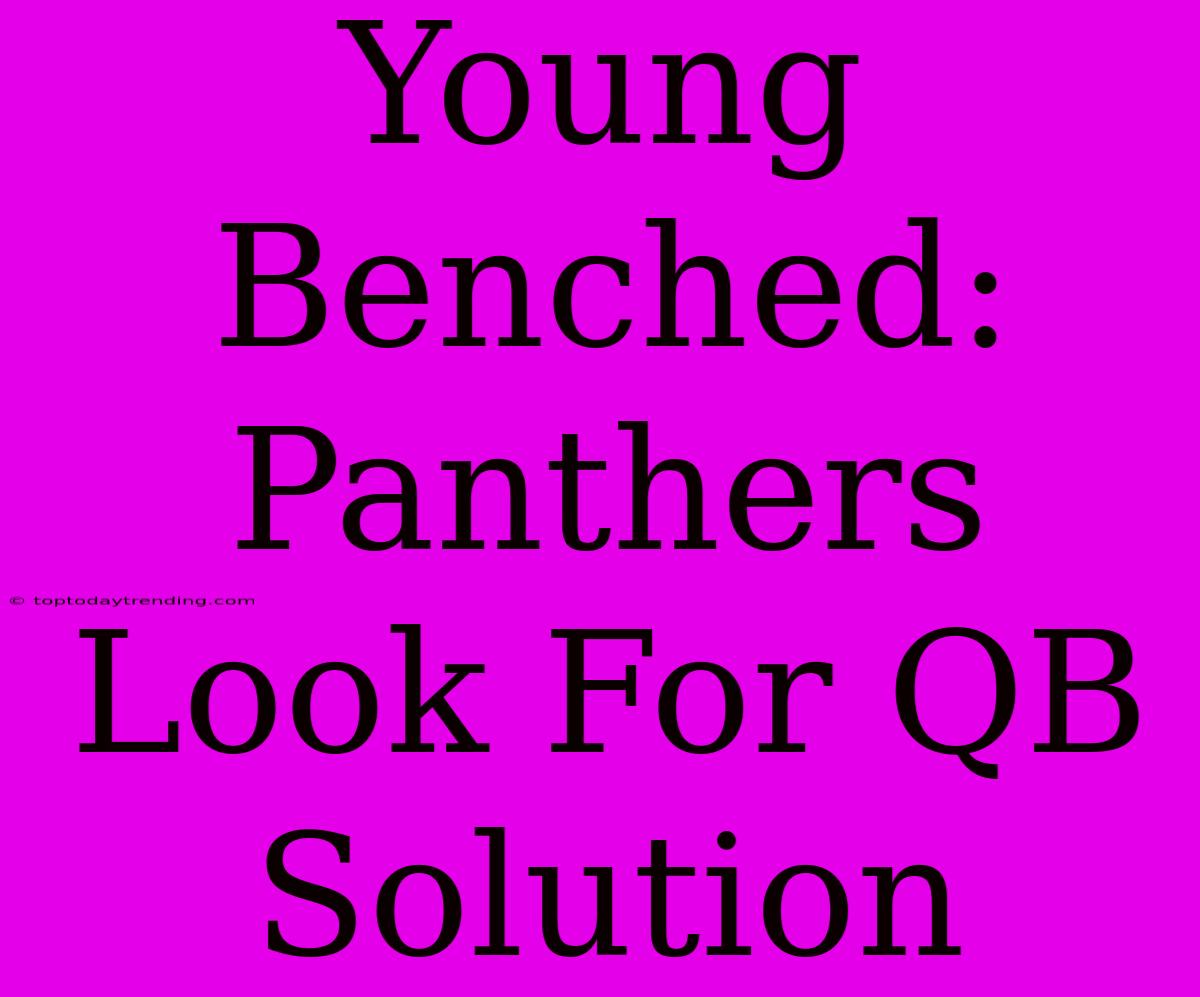 Young Benched: Panthers Look For QB Solution