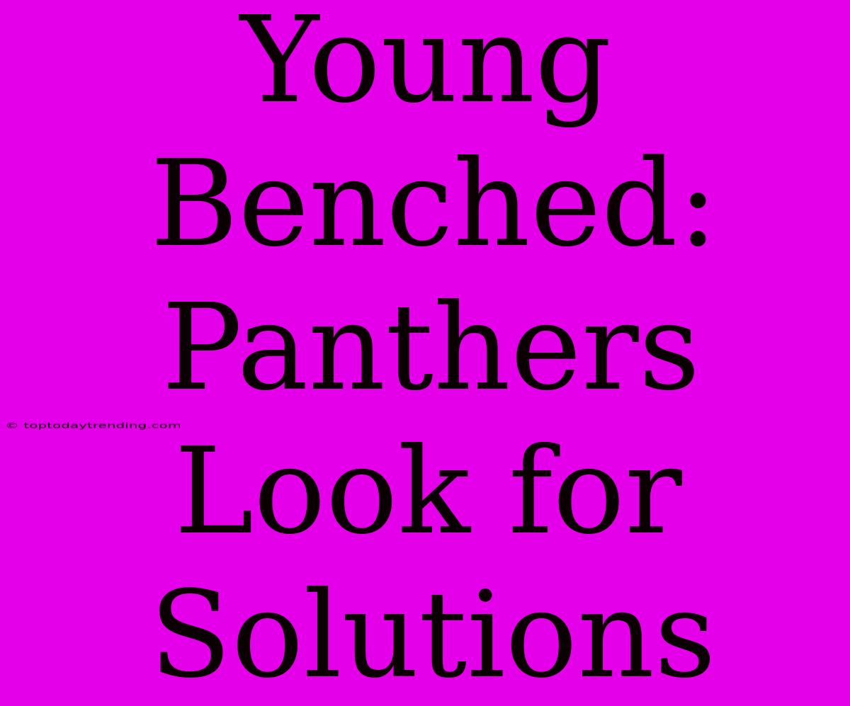 Young Benched: Panthers Look For Solutions