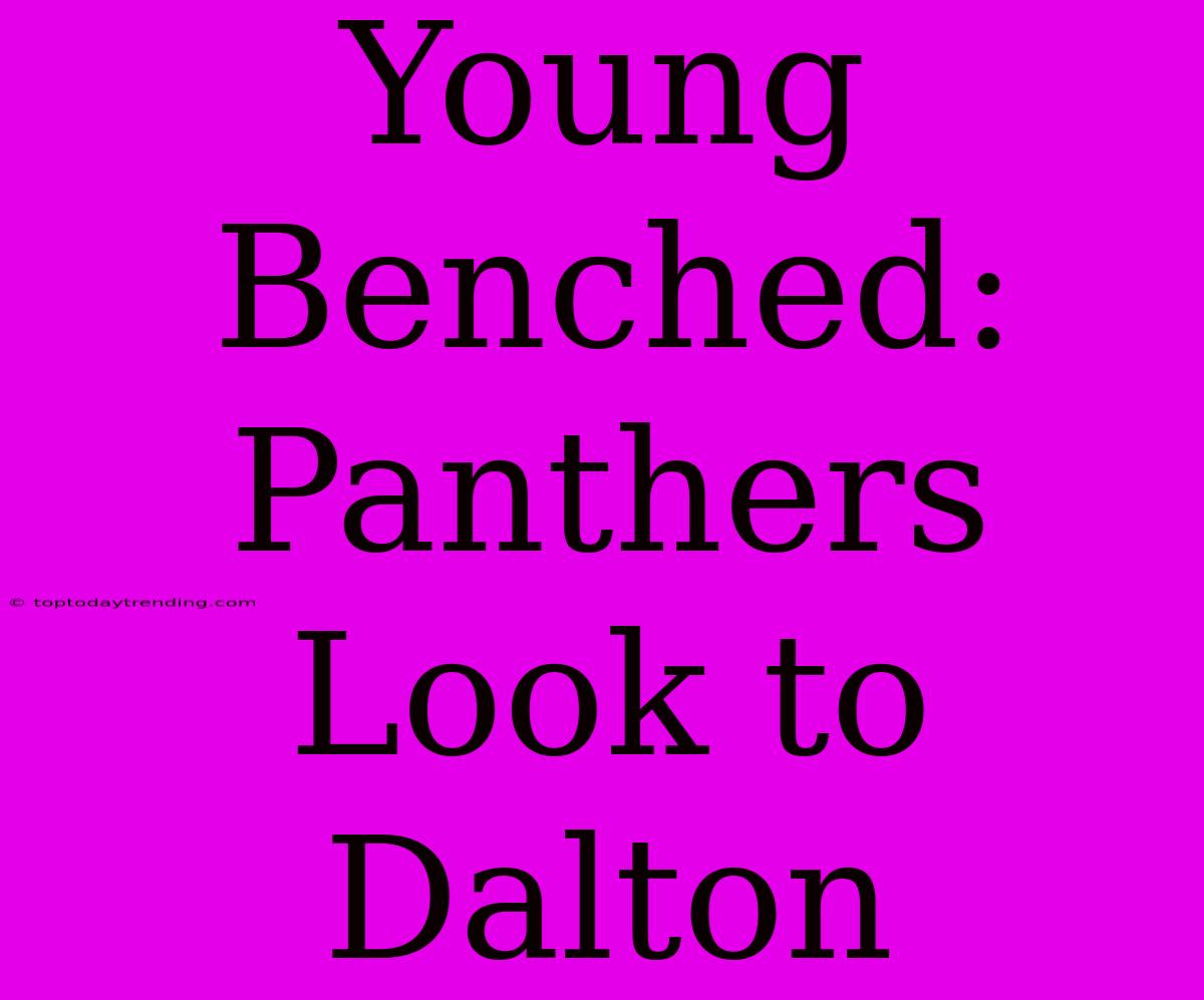 Young Benched: Panthers Look To Dalton