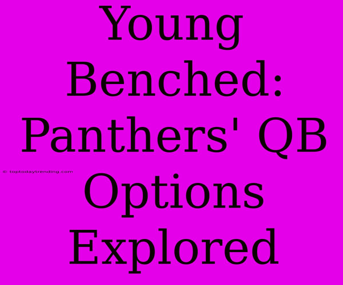 Young Benched: Panthers' QB Options Explored