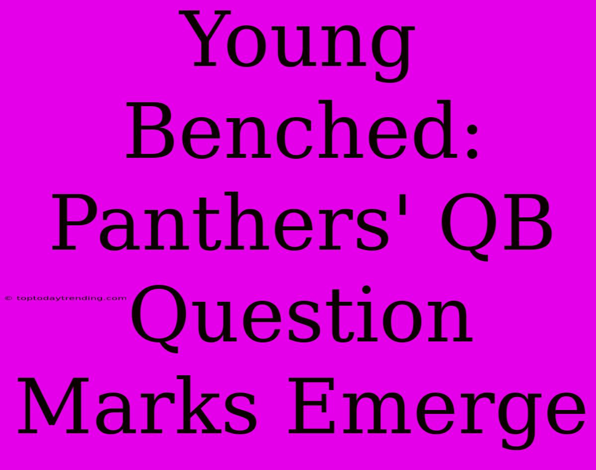 Young Benched: Panthers' QB Question Marks Emerge