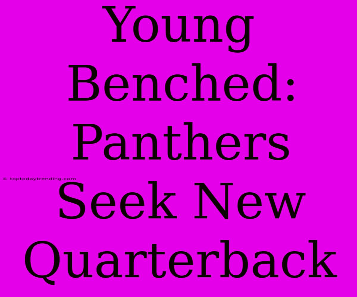 Young Benched: Panthers Seek New Quarterback