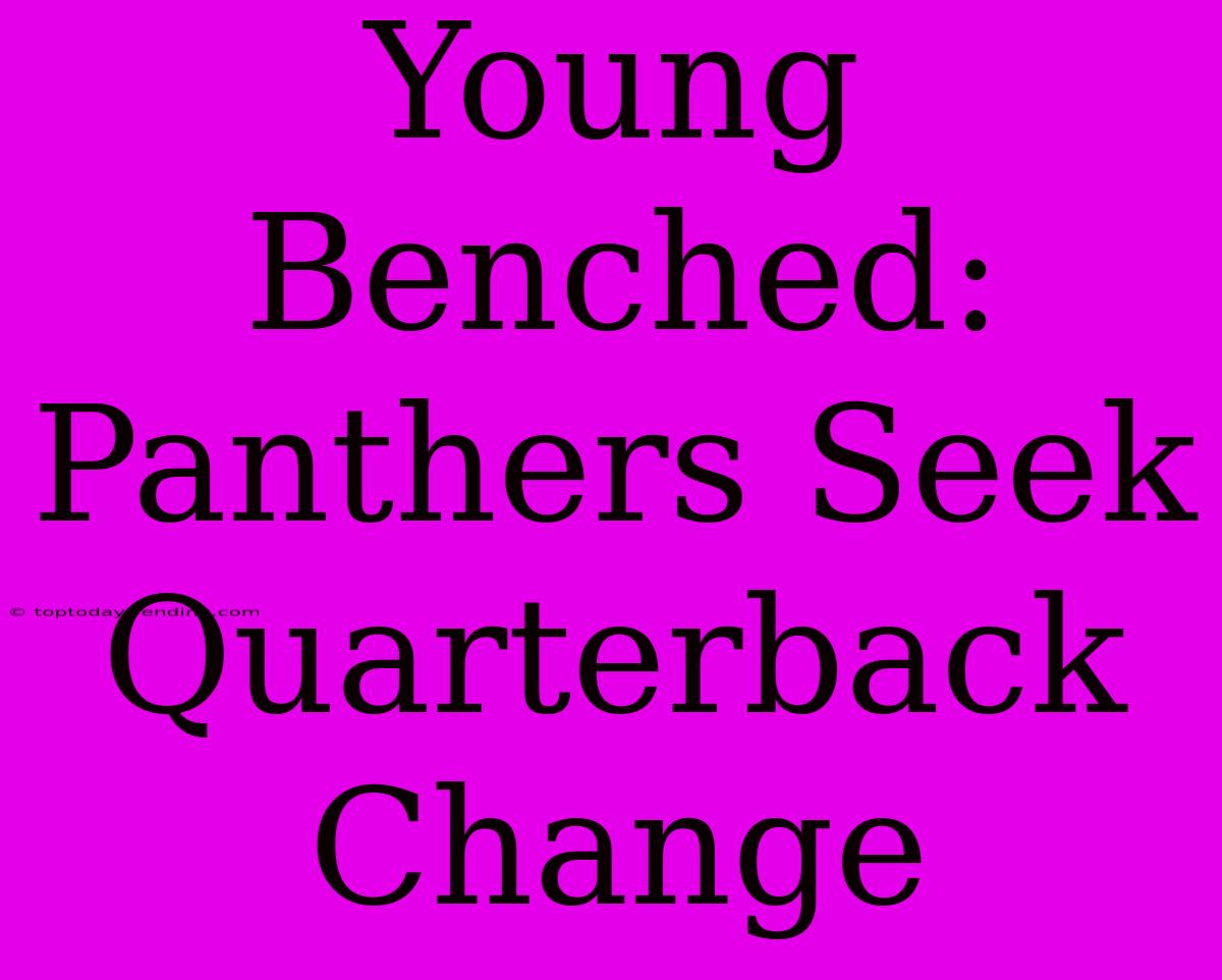 Young Benched: Panthers Seek Quarterback Change