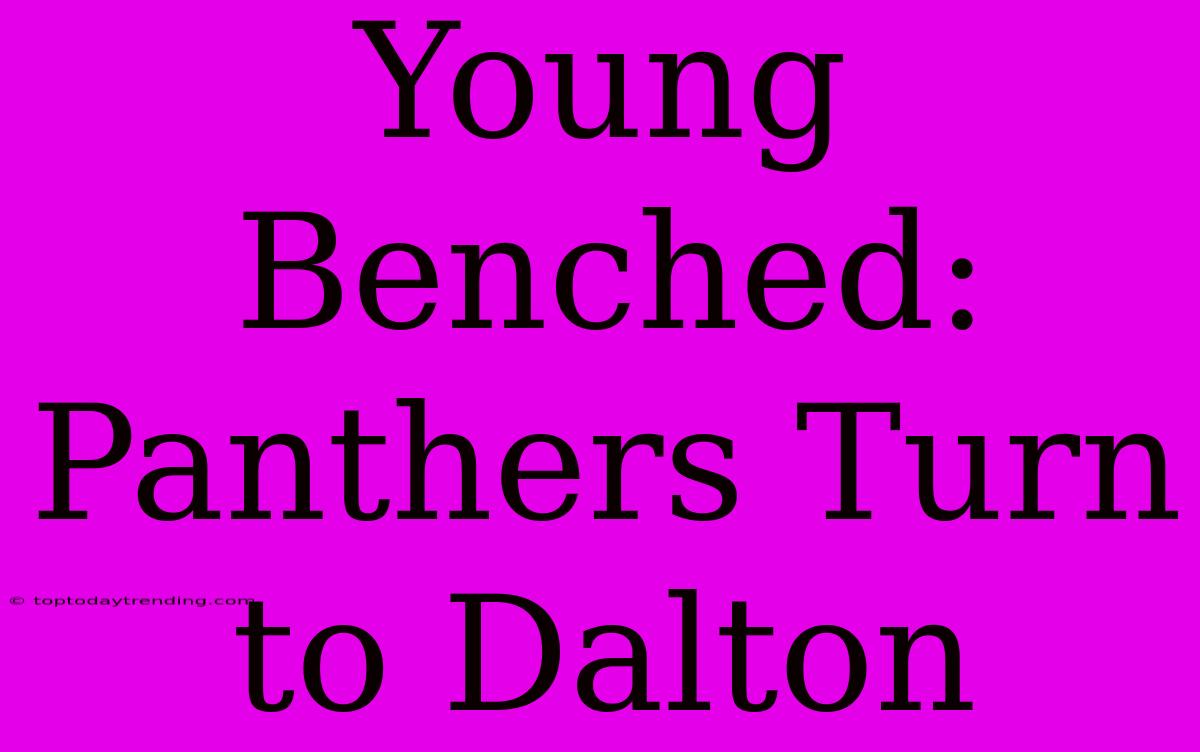 Young Benched: Panthers Turn To Dalton