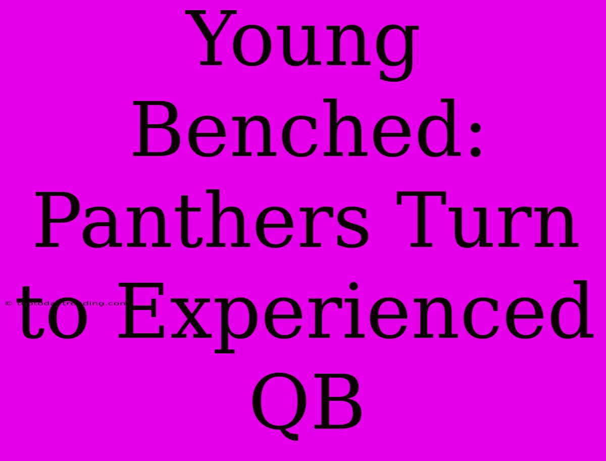 Young Benched: Panthers Turn To Experienced QB