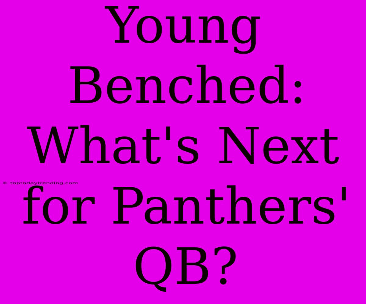 Young Benched: What's Next For Panthers' QB?