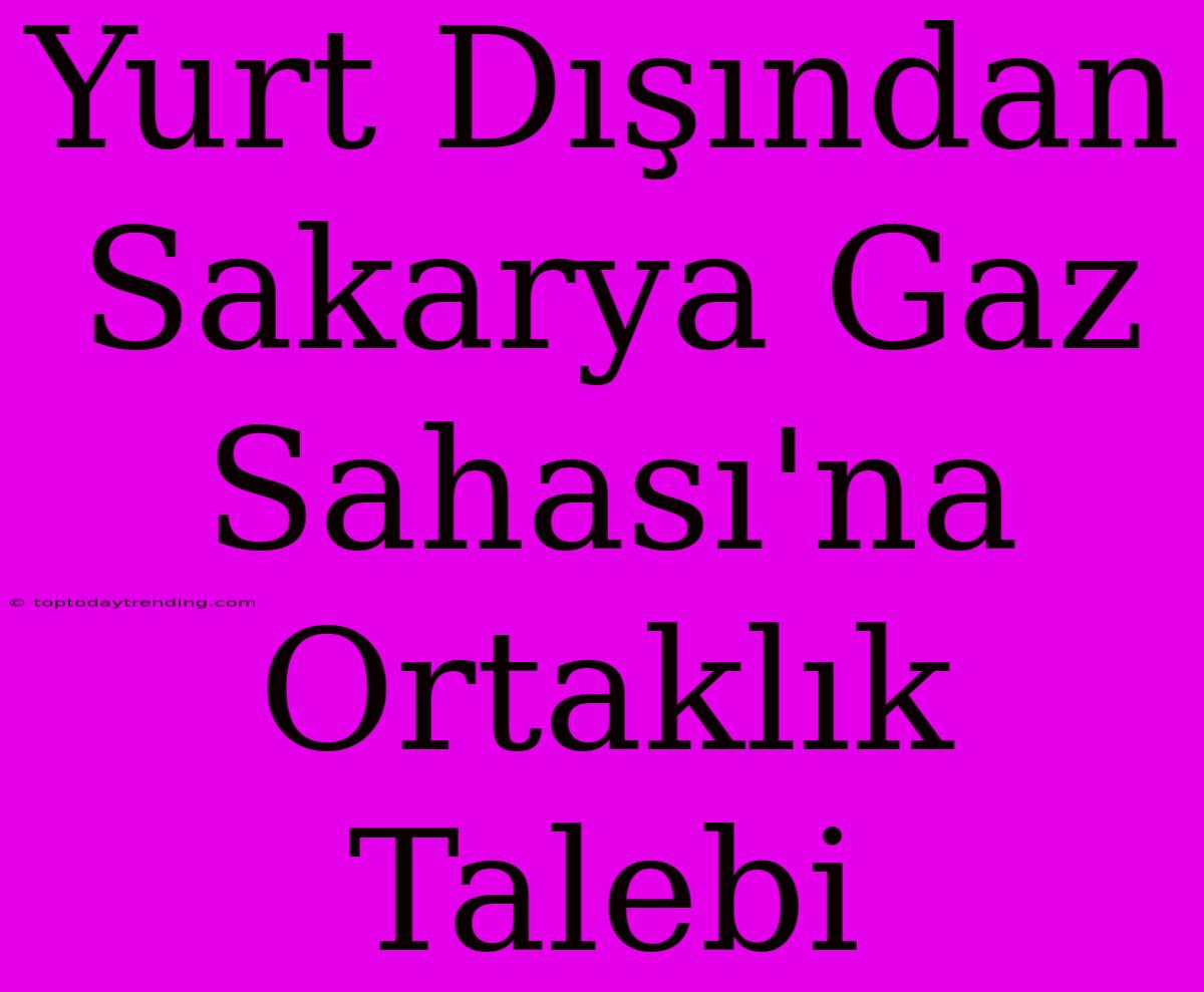 Yurt Dışından Sakarya Gaz Sahası'na Ortaklık Talebi