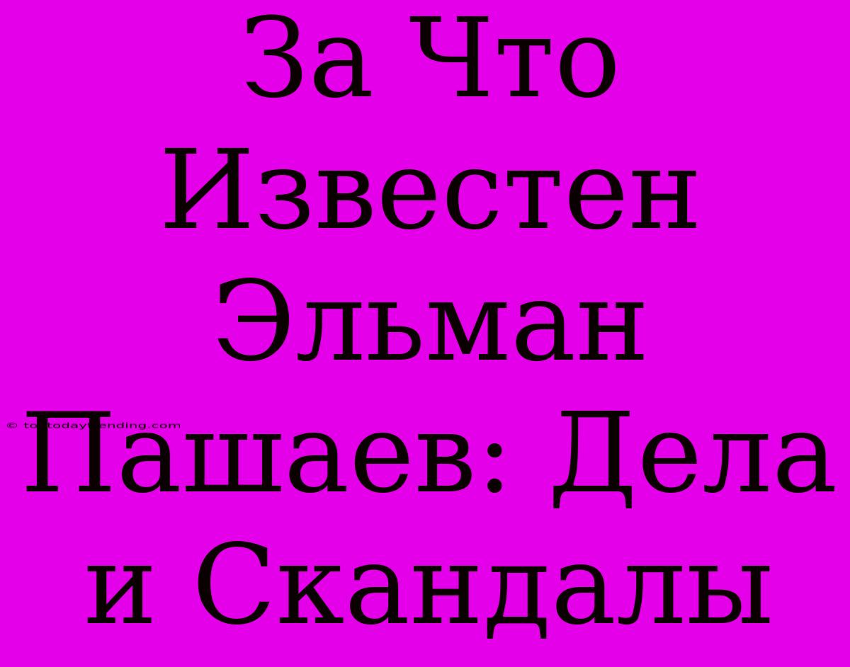 За Что Известен Эльман Пашаев: Дела И Скандалы